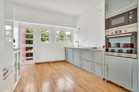 Vila De Rei, Castelo Branco 6110-051, Portugal