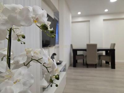 Odivelas, Lisbon 1685-924, Portugal