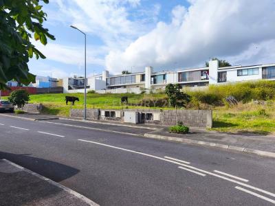 Ponta Delgada, סאו מיגל 9500-661, פורטוגל