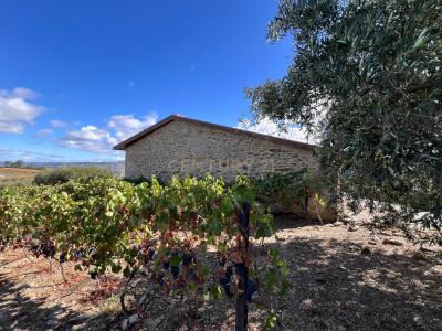 Armamar, Viseu 5110-673, Portugal