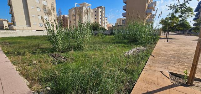 València/Valencia, Comunitat Valenciana 46712, España