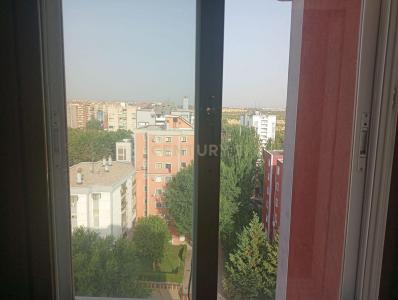 Madrid, Comunidad de Madrid 28945, Spain