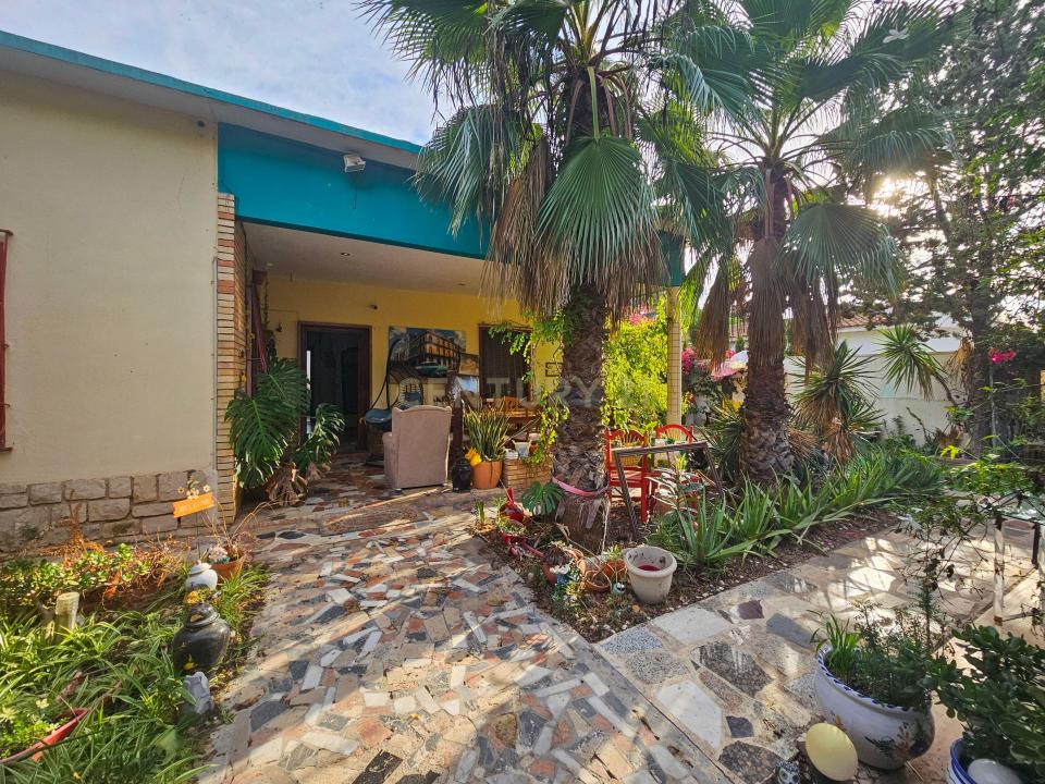 Alacant/Alicante, Comunitat Valenciana 03011, Spain