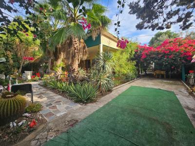 Alacant/Alicante, Comunitat Valenciana 03011, Spain