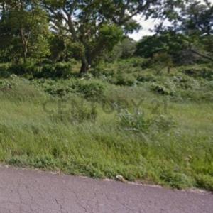 Gran Paitití - Warnes , Norte, Santa Cruz 00001, Bolívia