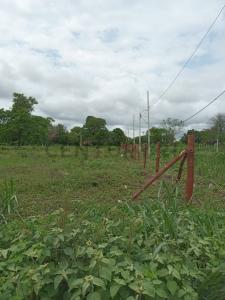 German Bush puerto quijarro av el carmen , Sur, Santa Cruz 00001, Bolivia