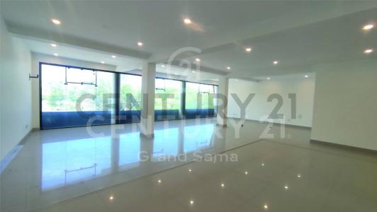 Juan XXIII, Tarija 00001, Bolivia