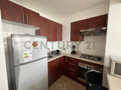 Iquique, Tarapacá 00001, Chile