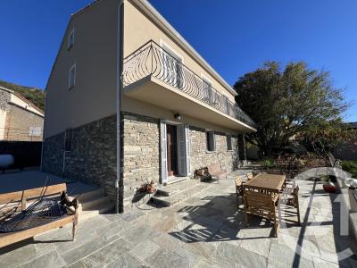 Patrimonio, Corse 20253, Pháp