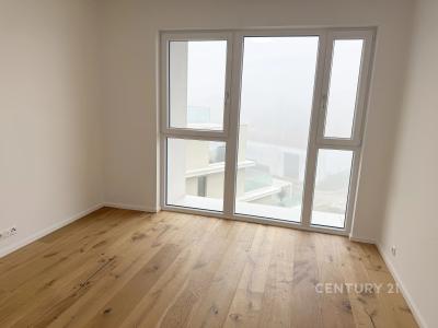 0901, Ramonova, Praha, Území Hlavního Města Prahy 10000, 捷克共和國