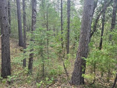 16633 Azurite Court, Nevada City, Kalifornia 95959, USA