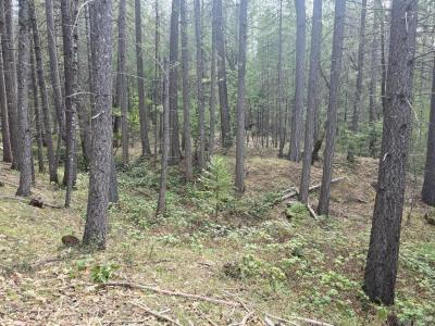 16633 Azurite Court, Nevada City, California 95959