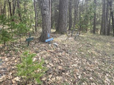 16633 Azurite Court, Nevada City, California 95959