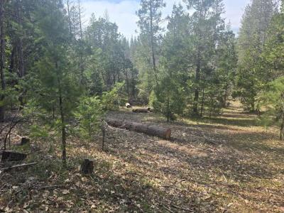 16633 Azurite Court, Nevada City, California 95959