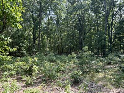 6440 Gaslight Circle, Saugatuck, ميشيغان 49453, الولايات المتحدة