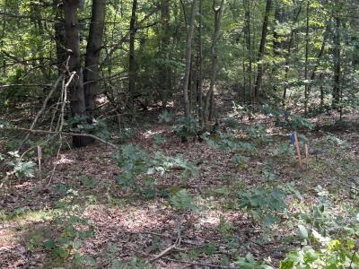 6440 Gaslight Circle, Saugatuck, ميشيغان 49453, الولايات المتحدة