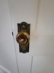 335 NE Curry St., Pelham, Géorgie 31779, États-Unis