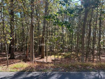 Lot 35 Westcolang Road, Hawley, Pennsylvania 18428, HOA KỲ
