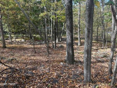 Lot 2 Sandstone Drive, Dingmans Ferry, Pennsylvania 18328, Estados Unidos