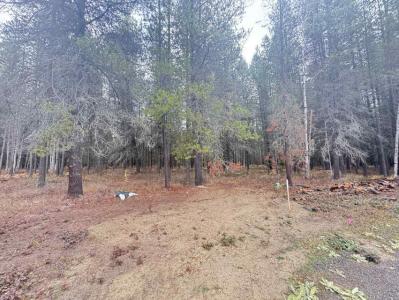 295 Wilderness Ave., Ione, Вашингтон 99139, Соединенные Штаты