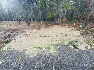 295 Wilderness Ave., Ione, Вашингтон 99139, Соединенные Штаты