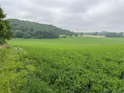 30933 Slow Lane, Lone Rock, Wisconsin 53556, Estados Unidos