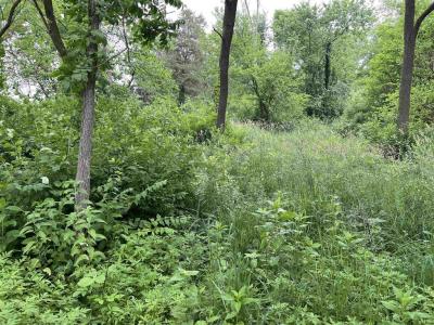 30933 Slow Lane, Lone Rock, Wisconsin 53556, Estados Unidos