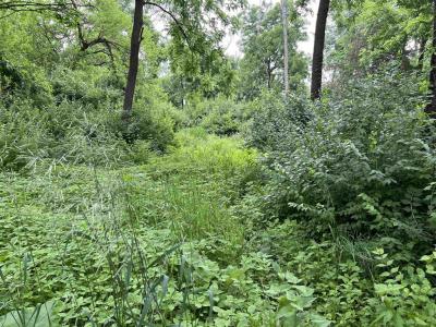 30933 Slow Lane, Lone Rock, Wisconsin 53556, Estados Unidos