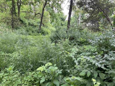 30933 Slow Lane, Lone Rock, Wisconsin 53556, Estados Unidos