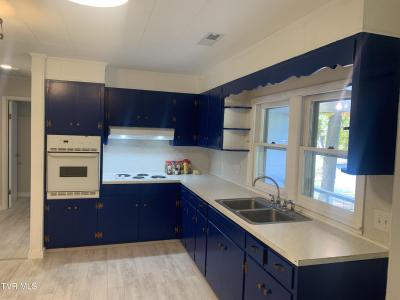 441 Mimosa Street, Mount Carmel, Tennessee 37645, Estados Unidos