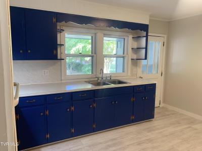 441 Mimosa Street, Mount Carmel, Tennessee 37645, Estados Unidos