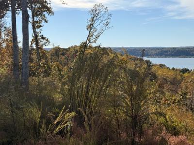 54 Ridge Top Road, Stewart, 테네시 37175, 미국