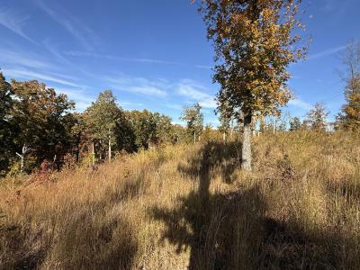 54 Ridge Top Road, Stewart, 테네시 37175, 미국