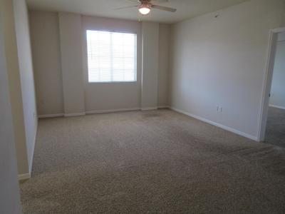 250 NE 3rd Avenue #1-213, Delray Beach, Floride 33444, États-Unis