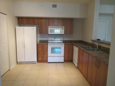 250 NE 3rd Avenue #1-213, Delray Beach, Floride 33444, États-Unis