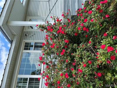 309 Central Avenue, Marble Hill, 密蘇里州 63764, 美國