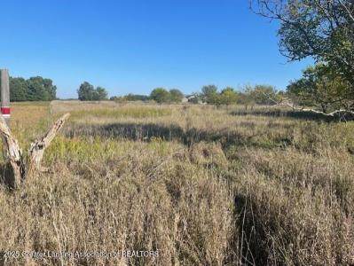 0 S Watson Road, St. Johns, Michigan 48879, USA