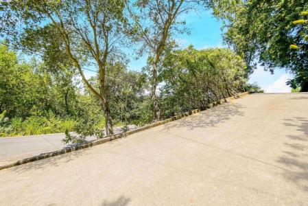 21 Red Rock Way, San Rafael, 加州 94903-3840, 美國