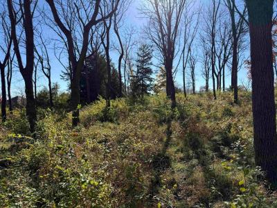 1505 Watson Way, Parkersburg, Iowa 50665