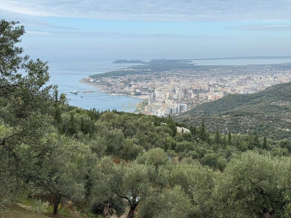 Periferia Vlorë, Vlorë, Albânia