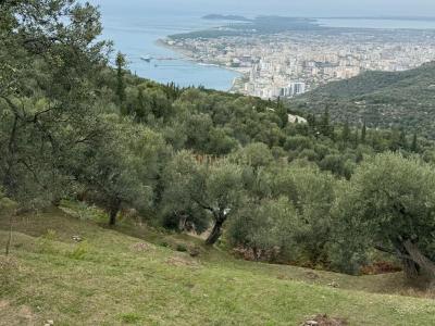 Periferia Vlorë, Vlorë, Albânia