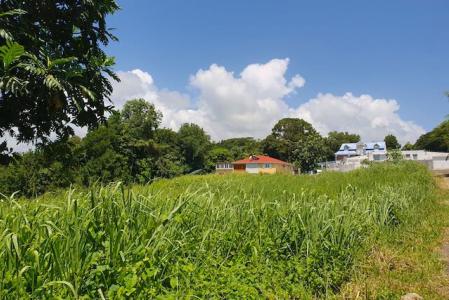 GOYAVE - Blonzac, La Rose ouest, Goyave, Guadeloupe