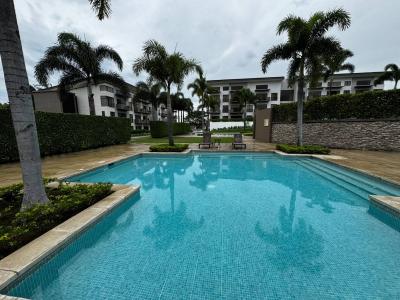  , Brasil Santa Ana, San José 00001, 哥斯達尼加