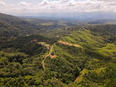 San Isidro Del General Pérez Zeledón, San José 00001, Costa Rica