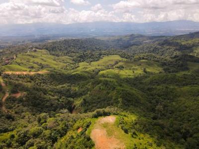 San Isidro Del General Pérez Zeledón, San José 00001, Costa Rica