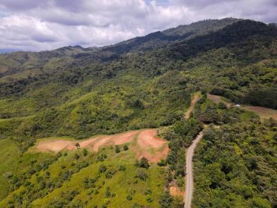 San Isidro Del General Pérez Zeledón, San José 00001, Costa Rica