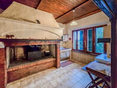 Strada Provinciale Lupo, Gavorrano, Toscana 58023, Itália