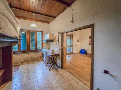 Strada Provinciale Lupo, Gavorrano, Toscana 58023, Itália