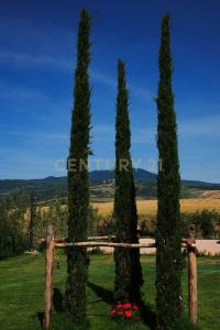 podere san giuseppe, Piancastagnaio, Toscana 53025, Italie
