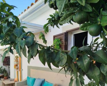 Monforte, Portalegre 7450-228, Portugal